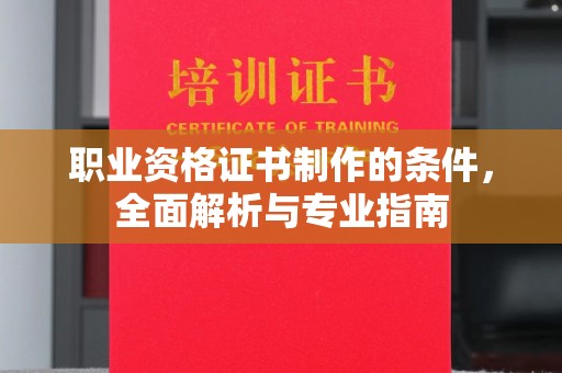 南沙职业资格证书制作的条件，全面解析与专业指南